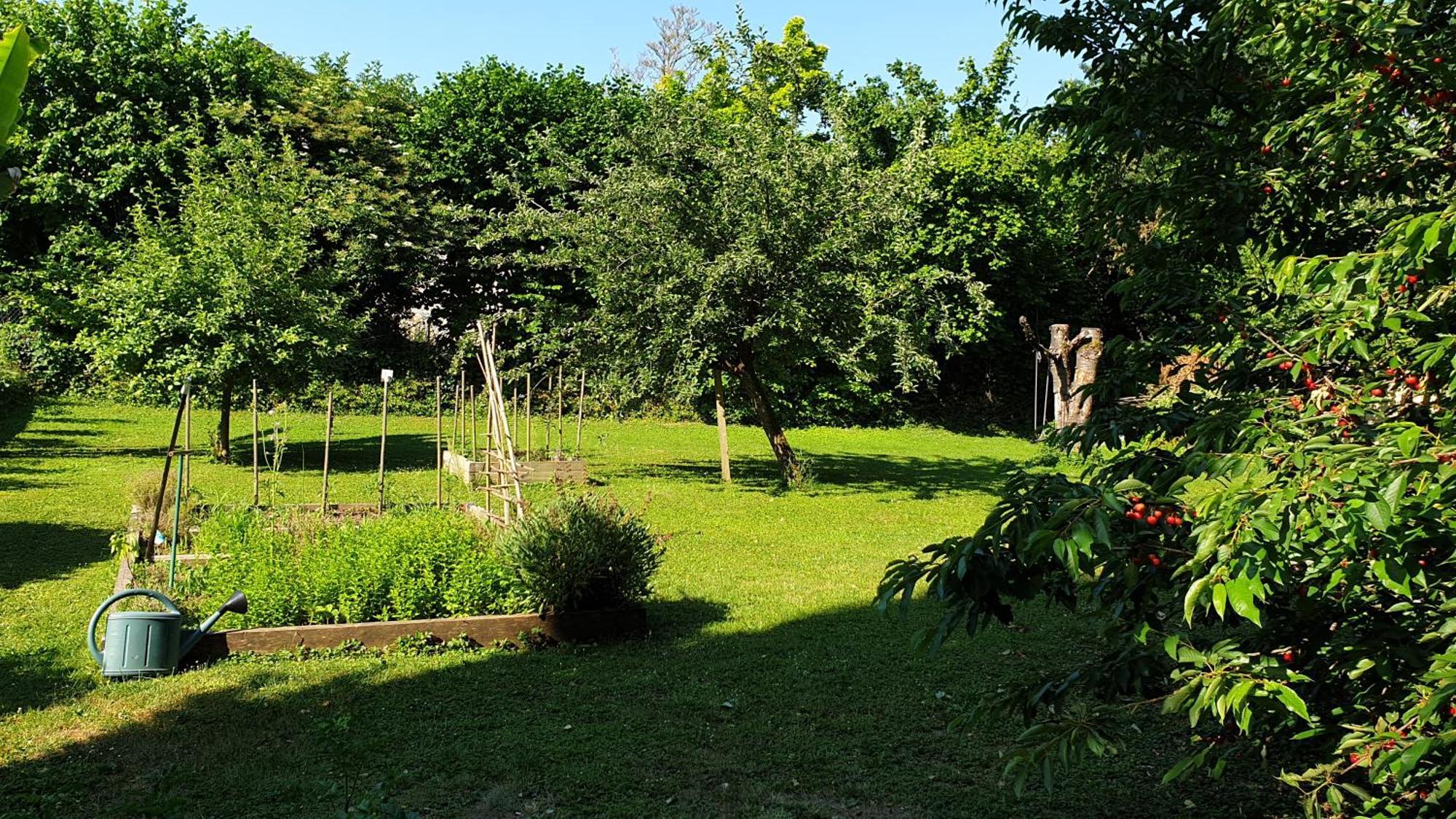 Gite 5 Personnes Fleurville Szoba fotó